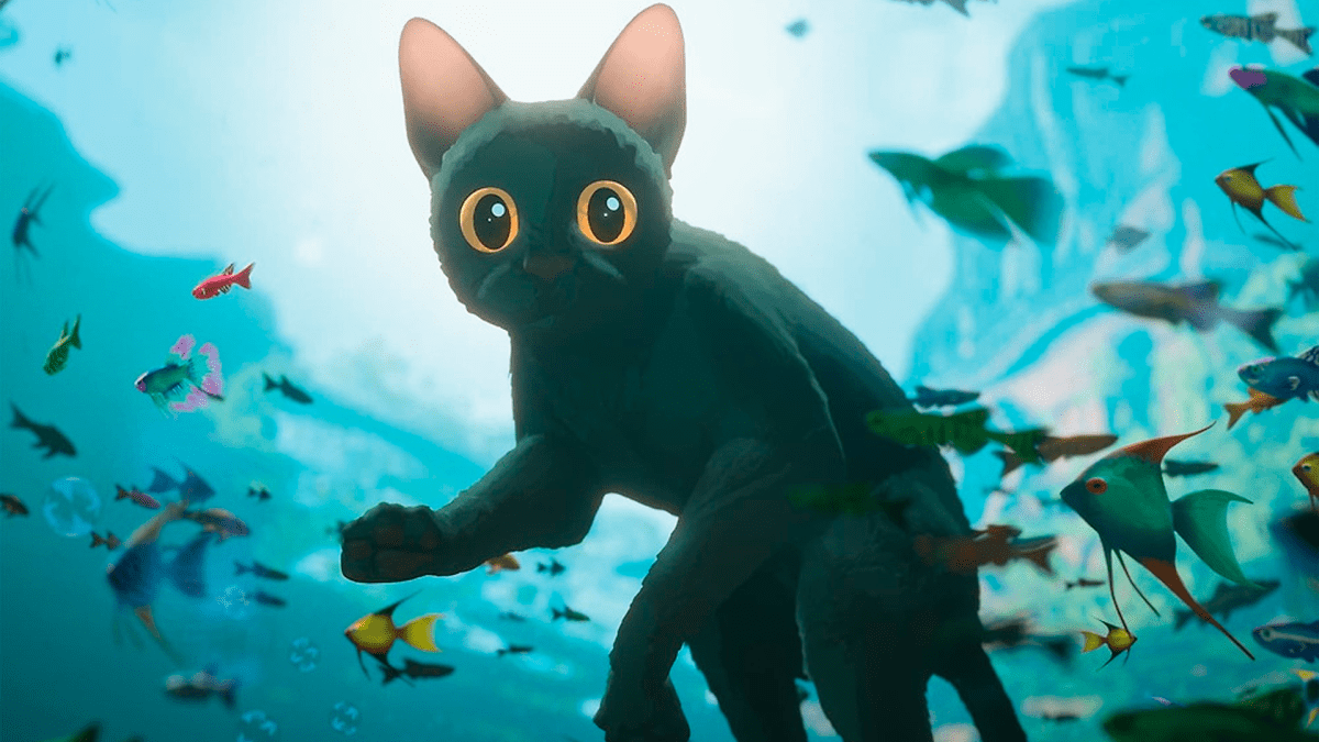 Flow: Bir Kedinin Yolculuğu Film İncelemesi